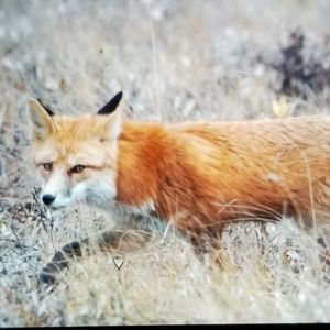 Meet your Posher, Tabitha